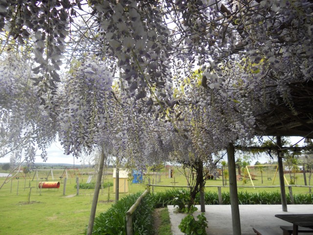 Canelones_rural_Estancia_el_renacimiento1