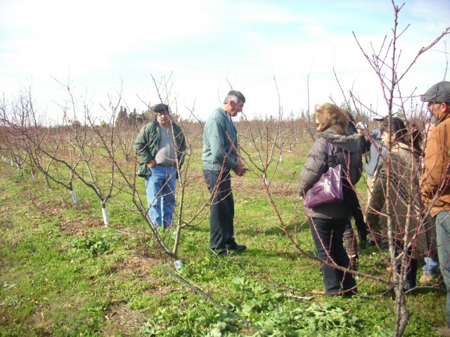 Canelones_rural_Hortifruticola_Ruta_62_1