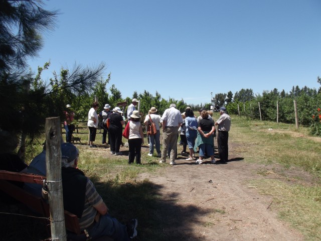 Canelones_rural_Hortifruticola_Ruta_62_2