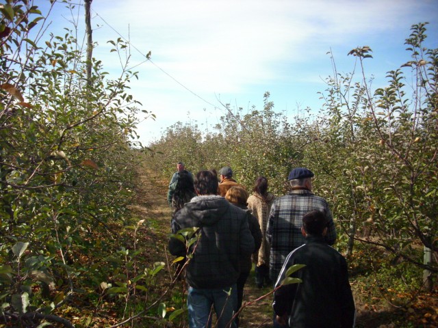 Canelones_rural_Hortifruticola_Ruta_62