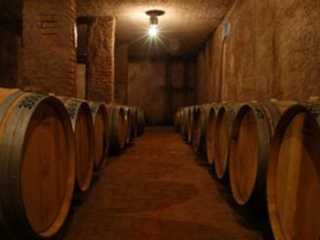 DeLucca3