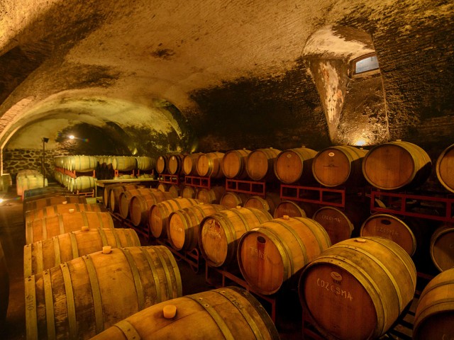 bodega1