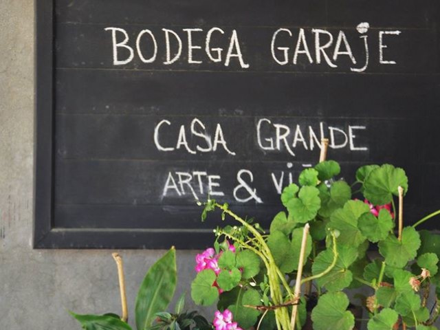 bodega