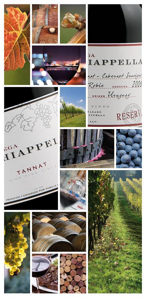 Bodega Chiappella