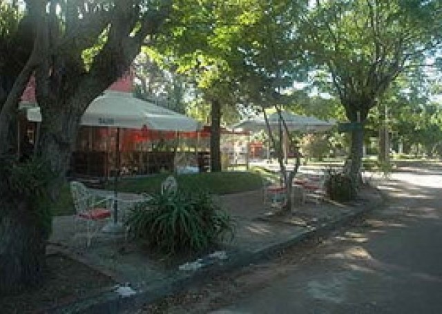 LUZ MARINA