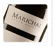 Bodega Marichal