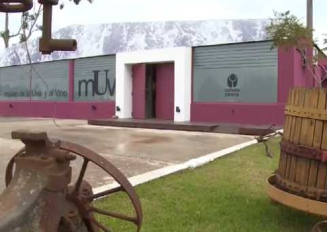 Museo de la Uva y el Vino